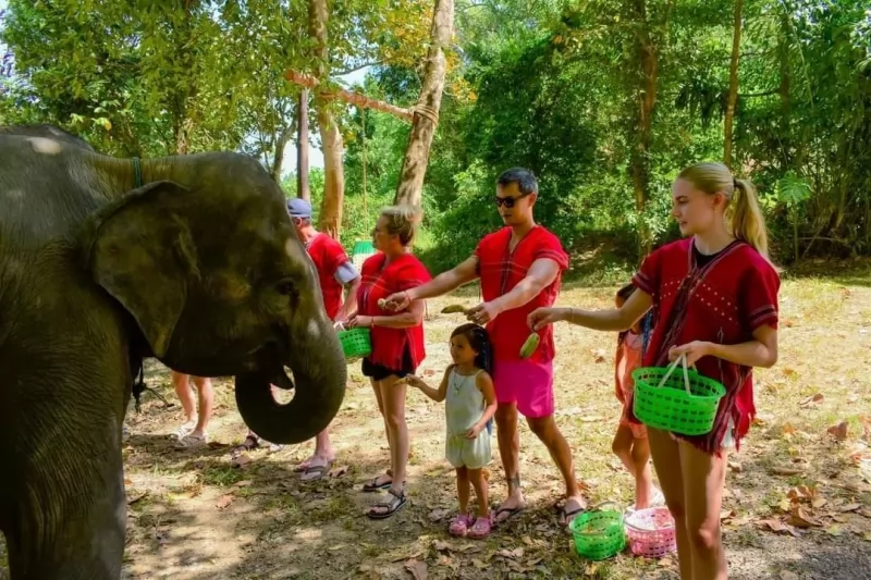 Half Day Elephants care by Kerchor