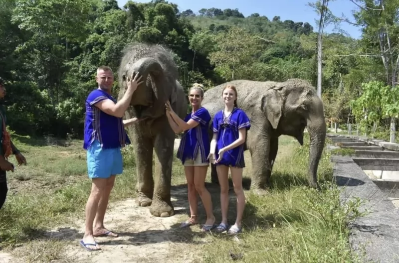 Half Day Elephants care by Kerchor