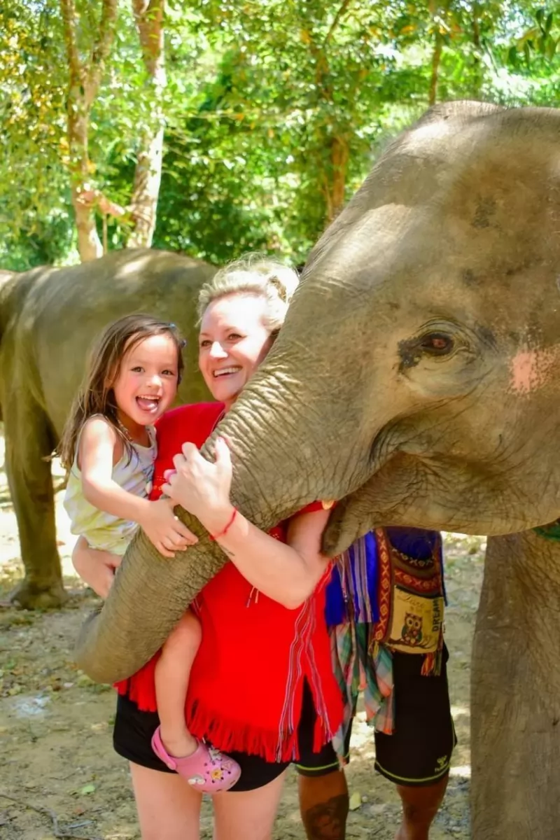 Half Day Elephants care by Kerchor