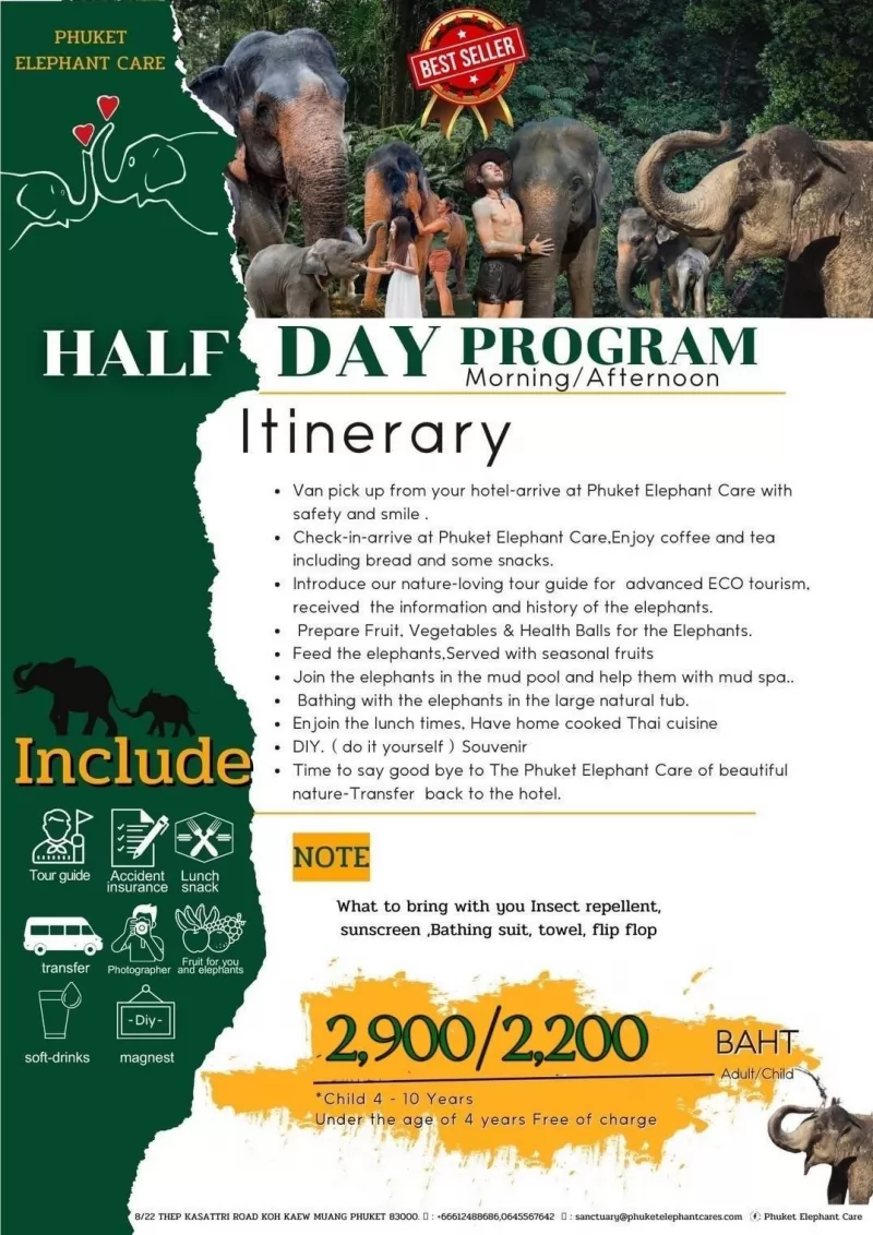 Elephant Care Half Day By PECS